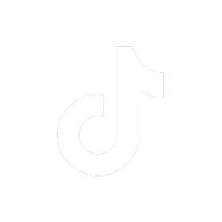 TikTok Icon